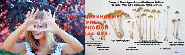 молекула духа Верея