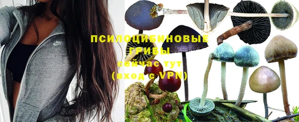 молекула духа Верея