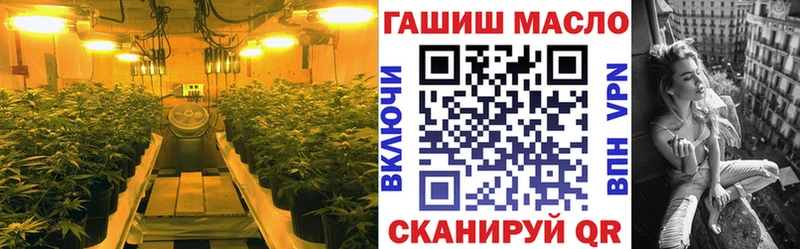 блэк спрут рабочий сайт  Гудермес  ТГК THC oil 