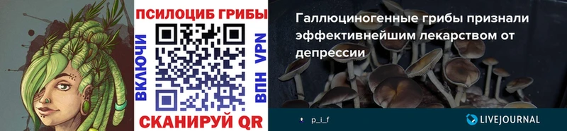 Псилоцибиновые грибы GOLDEN TEACHER  Гудермес 