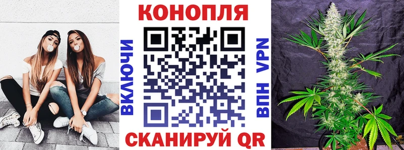 Канабис конопля  omg ссылки  Гудермес 